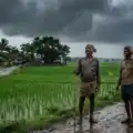 Farmers in rural India watching approaching monsoon clouds over agricultural fields during the start of the rainy season representative image.