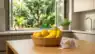 Uniformly yellow bananas showing signs of artificial ripening with chemicals.