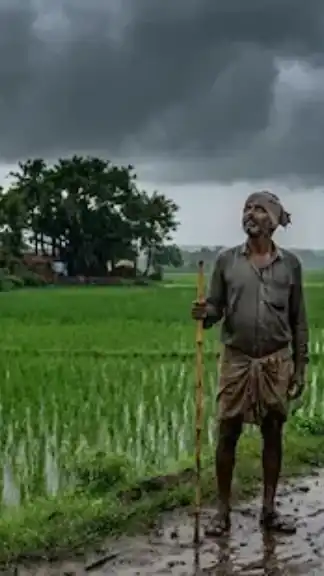 Farmers in rural India watching approaching monsoon clouds over agricultural fields during the start of the rainy season representative image.